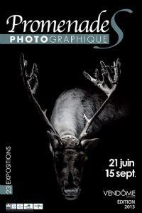9e édition des PROMENADES PHOTOGRAPHIQUES. Du 21 juin au 15 septembre 2013 à Vendôme. Loir-et-cher. 